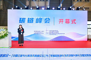 2026第六届上海国际环境空气净化产业博览会(净博会)